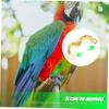 Beavorty 12-Piece Reusable Parrot Leg Rings view 3