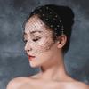 Women's Classic White and Black Birdcage Veil Fascinator Headpiece view 2