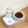 Pet Feeding Bowl Set with Automatic Water Refill Bottle view 1