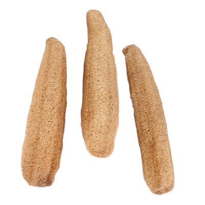 Angoily 3-Piece Pet Chew Toy for Hamsters