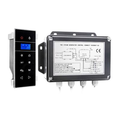 3 kW Wall-Mounted Mini Steam Shower Generator with Bluetooth Controller