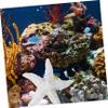 DOITOOL 2-Pack Starfish Decoration view 2