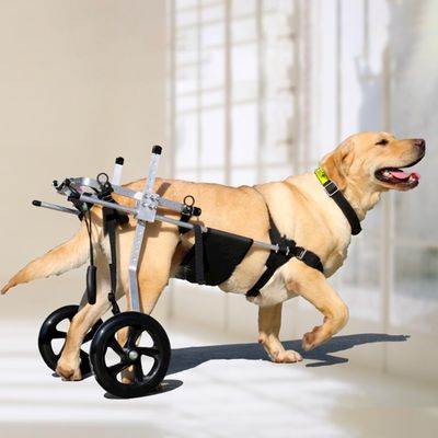 Medium/Large Dog Wheelchair for Hind Legs, 2-Wheel Pet Cart, 33–133 lb, Adjustable Metal Rehab Support Cart