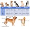 Medium/Large Dog Wheelchair for Hind Legs, 2-Wheel Pet Cart, 33–133 lb, Adjustable Metal Rehab Support Cart view 4