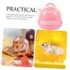 Portable Pink Plastic Hamster Carrier with Handle view 3