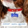 Ibera Gifts - Personalized Dog Tag in Bone Shape view 2