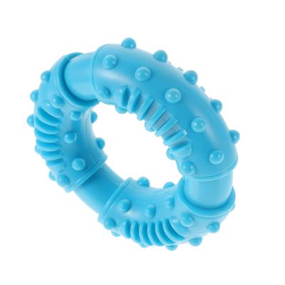 Rubber Dog Chew Toy, Durable Dental Cleaning Toy, Blue