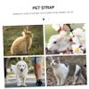 Beavorty Pet Harness with Angel Wings view 3