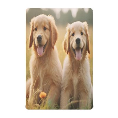 JUMBEAR Cute Golden Retriever Fitted Sheet for Baby Bassinets and Newborns