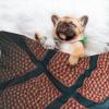 BUULOO Reversible Fleece Basketball Pet Blanket for Cats and Dogs view 3