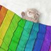 BUULOO Reversible Rainbow Wood-Print Fleece Pet Blanket view 2