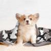 BUULOO Reversible Pet Fleece Blanket, Black, Gray, White Camouflage, Various Sizes view 4