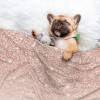 BUULOO Pet Bean Fleece Blanket, Reversible, Rose Gold, for Cats and Dogs, Soft Printed Blanket, Various Sizes view 3