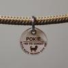 DOG TAG/DOG ID TAG - Biothane - White - v2 (DOG) - Round - 3.4 cm view 4