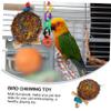 Angoily Hanging Chew Toy for Parrots view 4