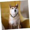 Angoily Pet Gold Lock Adjustable Collar with Bells view 4