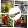 minkissy 2-Piece Practical Parrot Stand with Solid Wood Platform for Budgerigars and Cockatiels, Durable and Natural, for Climbing view 4