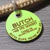 DOG TAG/Dog Tag – Biothane – Green (Apple Green) – V1 – Round – 3.4 cm view 2