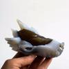 NIXCON Natural Crystal 1-Piece 4-Inch Agate Geode Dragon Head Crystal Skull for Home Decor and Energy view 3