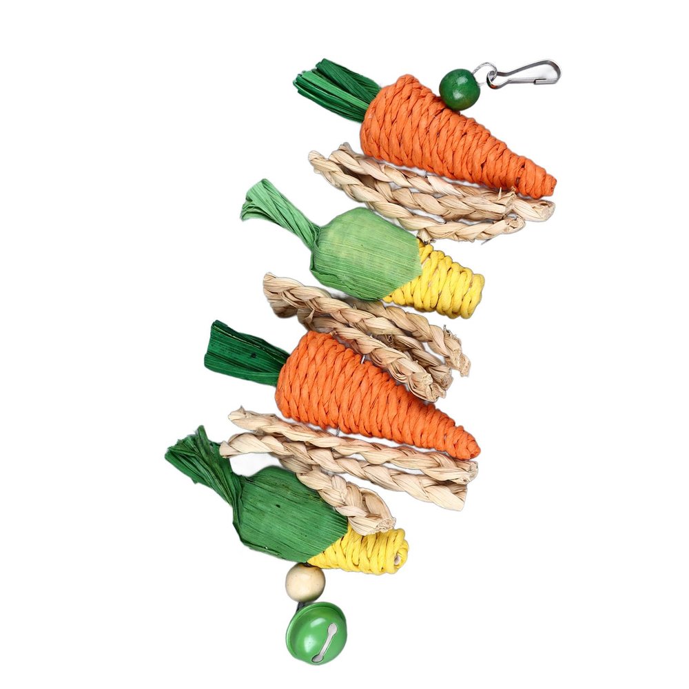 Colorful Carrot Bird Chew Toy