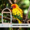 DMAIS Bird Swing for Parakeets view 2