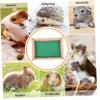 Beavorty 1-Piece Small Pet Hammock and Warm Hamster Bed view 3