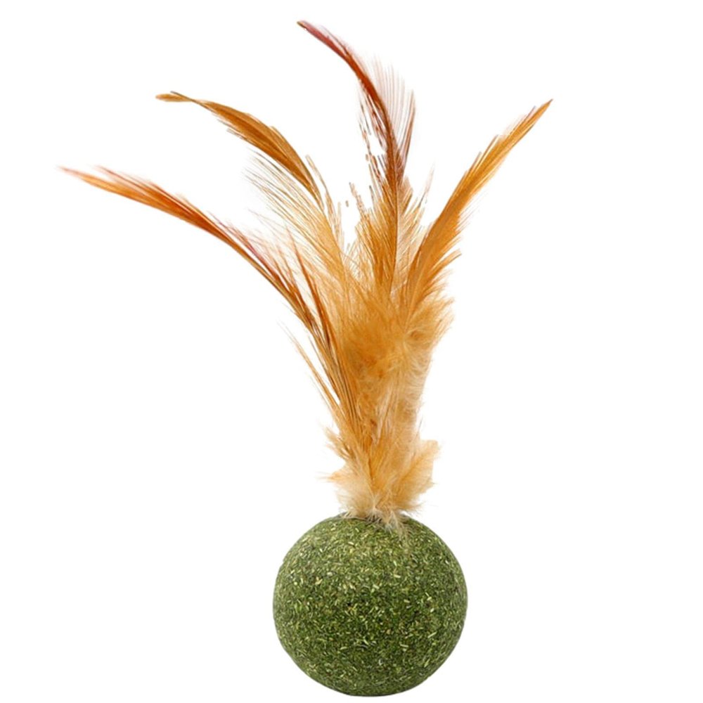 Catnip Ball Toy for Cats with Feather