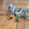 Catnip Ball Toy for Cats with Feather view 3