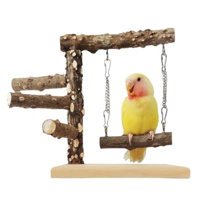 Parrot Stand, Bird Activity Center and Play Gym