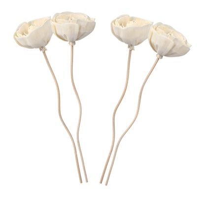 4 Aromatherapy Diffuser Sticks and Pith Paper