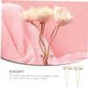 4 Aromatherapy Diffuser Sticks and Pith Paper view 4