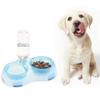 Automatic Feeding Setup for Kittens: Removable Double Plastic Bowls with Slow Feeder Design and Water Bowl view 2