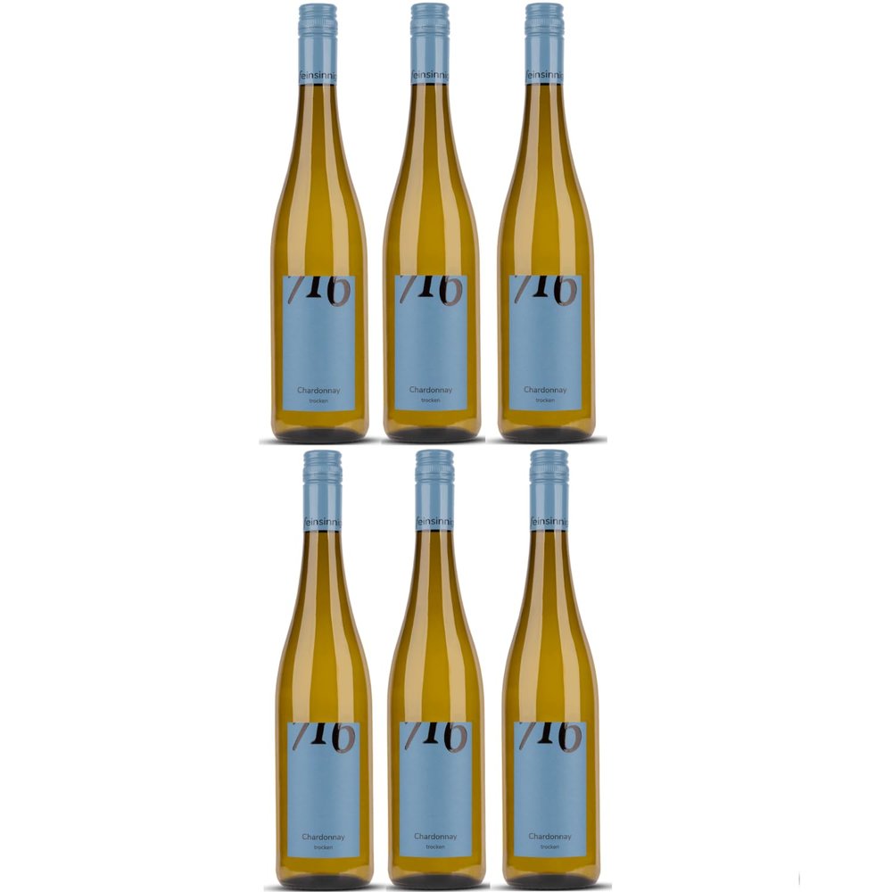 Winzerhof Ebringen Chardonnay Dry 716 White Wine, Germany, incl. FeinWert E-Book (6 x 0.75 L)