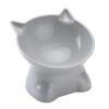 Elevated Cat Food Bowl view 1