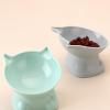 Elevated Cat Food Bowl view 3