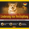 GastroBalance Constipation Relief for Dogs, 60 Soft Chews view 2