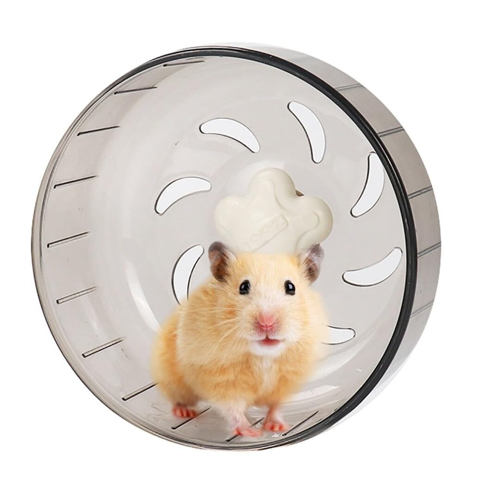 Interactive Hamster Exercise Wheel with Clear, Cute Design
