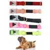 Adjustable Nylon Dog Collar with Quick-Release Buckle, Soft Lighting, and Classic Durable Design view 4