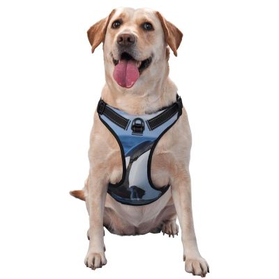 Breathable Adjustable Dog Harness with Leash, Cute Whale Design for Small, Medium, and Large Dogs