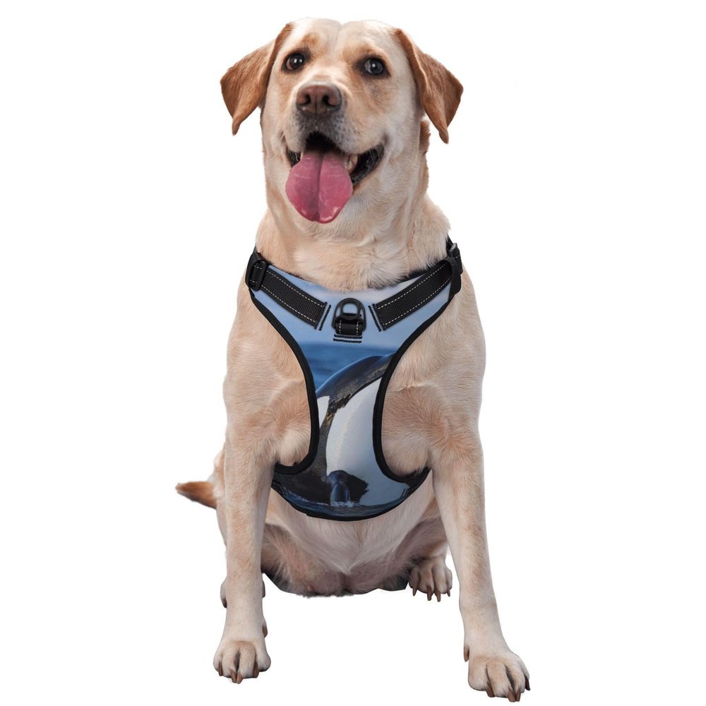 Breathable Adjustable Dog Harness with Leash, Cute Whale Design for Small, Medium, and Large Dogs