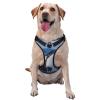 Breathable Adjustable Dog Harness with Leash, Cute Whale Design for Small, Medium, and Large Dogs view 1