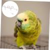 Housoutil 1-Piece Bird Training Anklet and Flight Leash for Parrots and Small Birds view 3