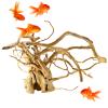 Quzente Driftwood Decoration view 1