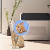 Bitong Adjustable Cat Recovery Collar view 2