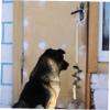 FOMIYES 2-Pack Dog Training Door Bells view 3