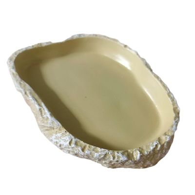 BEALIFE Reptile Feeding Plate for Turtles