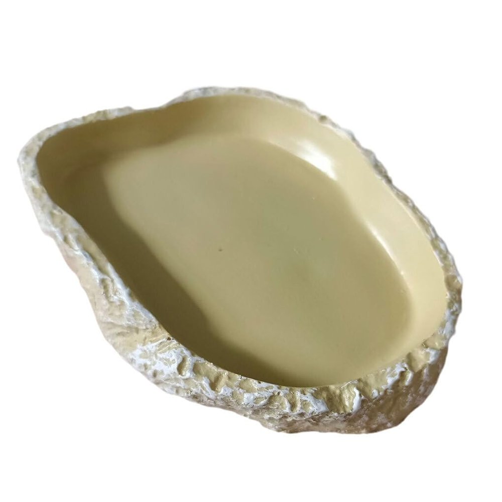 BEALIFE Reptile Feeding Plate for Turtles