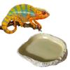 BEALIFE Reptile Feeding Plate for Turtles view 3