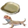 BEALIFE Reptile Feeding Plate for Turtles view 4