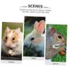 Angoily 3-Piece Small Animal Chew Toy view 2